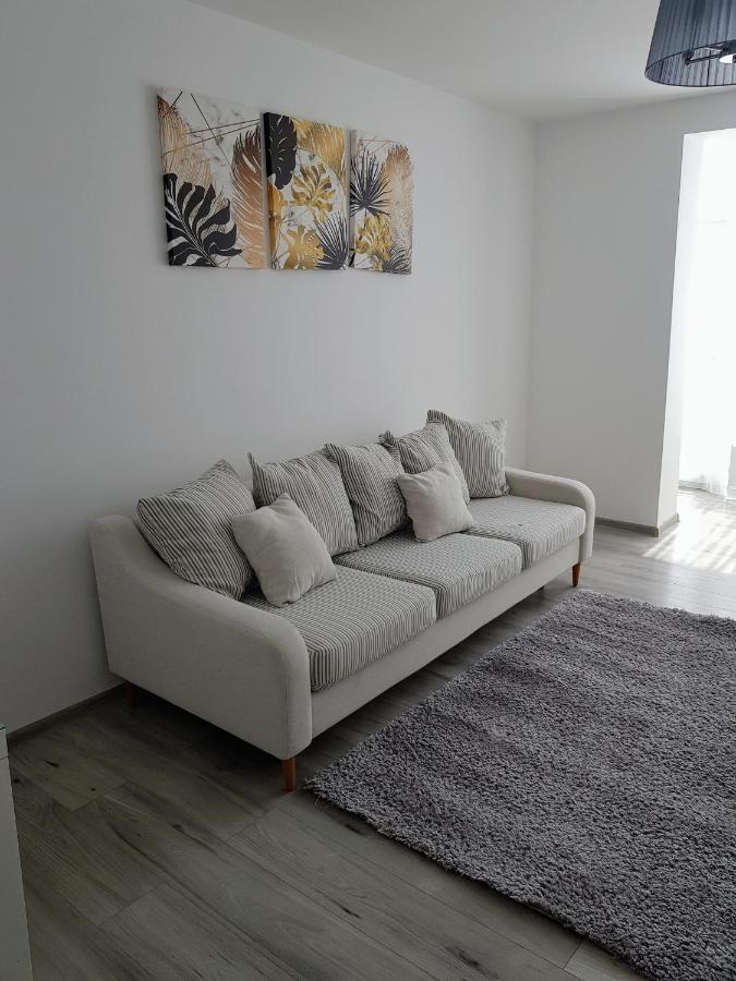 Alexa Apartament Târgu-Mureş 외부 사진